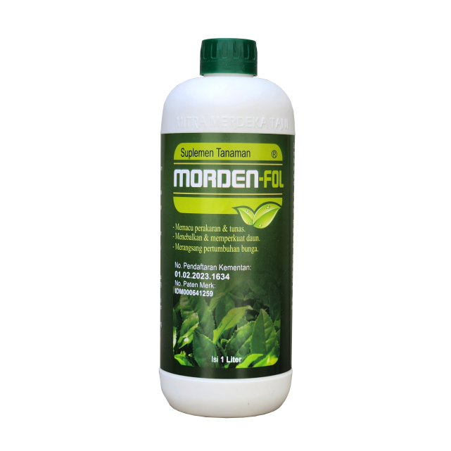MORDENFOL 1000 ml